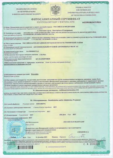 undefined фото 2 undefined фото 2
